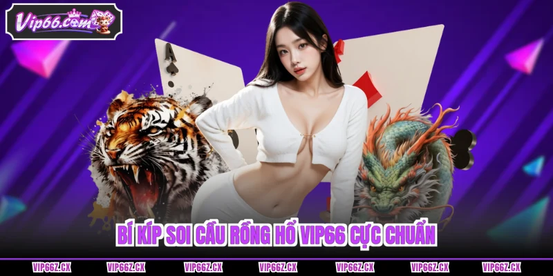 Bí kíp soi cầu Rồng Hổ Vip66 cực chuẩn